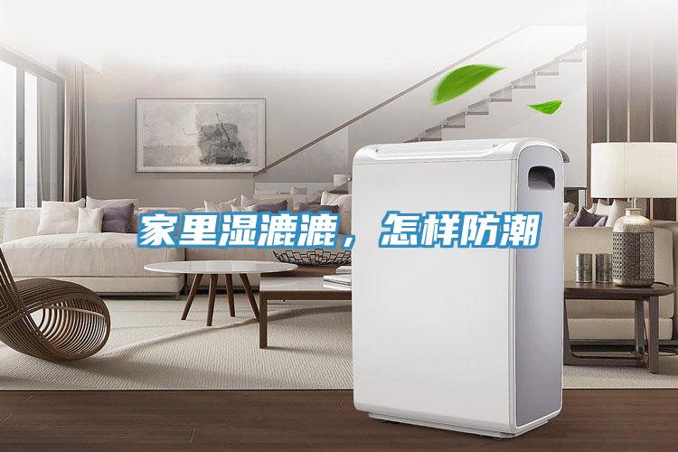 家里濕漉漉，怎樣防潮