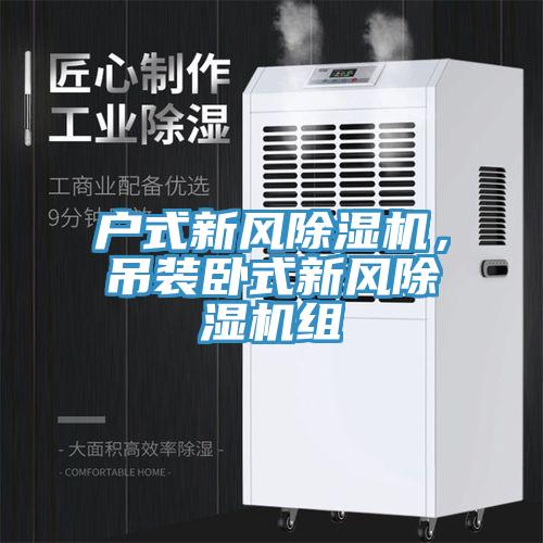 戶式新風(fēng)除濕機，吊裝臥式新風(fēng)除濕機組