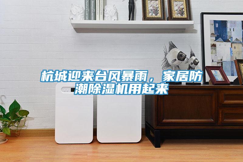 杭城迎來臺風(fēng)暴雨，家居防潮除濕機用起來