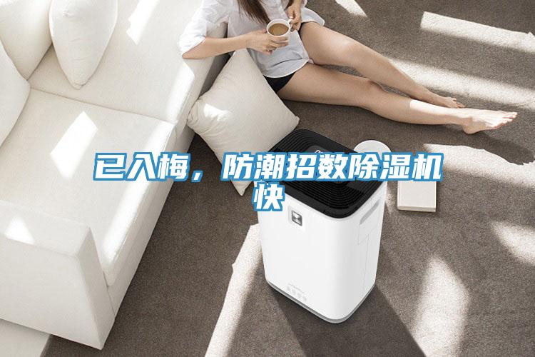 已入梅，防潮招數(shù)除濕機(jī)快