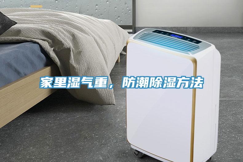 家里濕氣重，防潮除濕方法