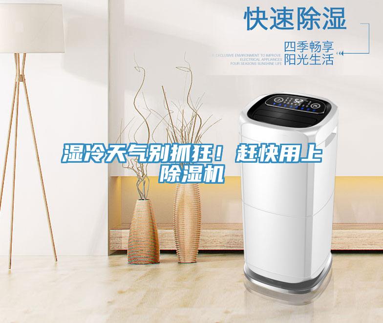濕冷天氣別抓狂！趕快用上除濕機