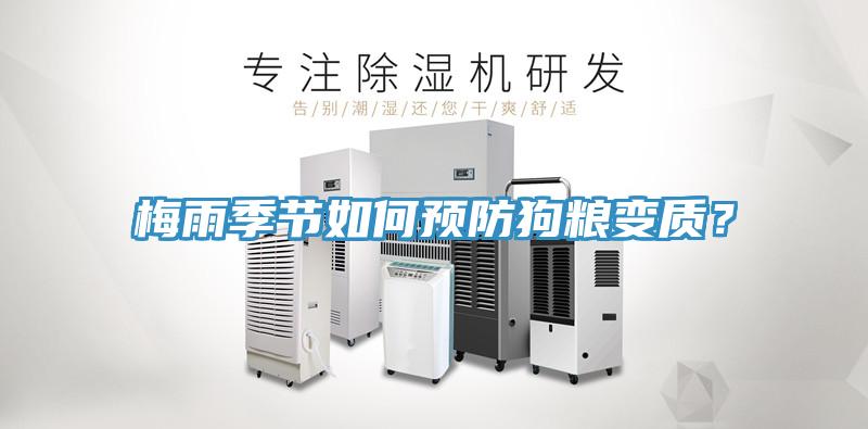 梅雨季節(jié)如何預(yù)防狗糧變質(zhì)？