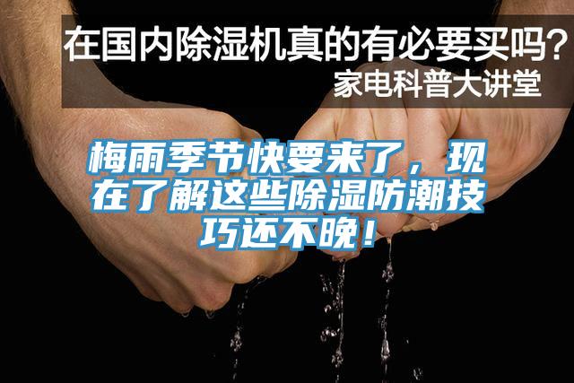 梅雨季節(jié)快要來(lái)了，現(xiàn)在了解這些除濕防潮技巧還不晚！