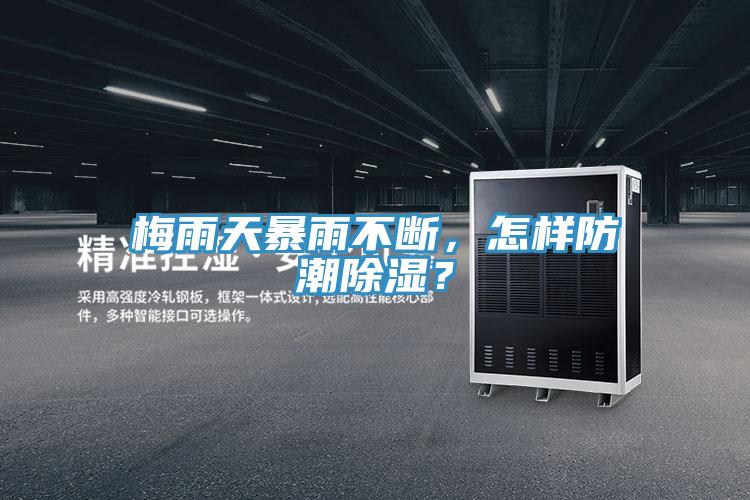 梅雨天暴雨不斷，怎樣防潮除濕？