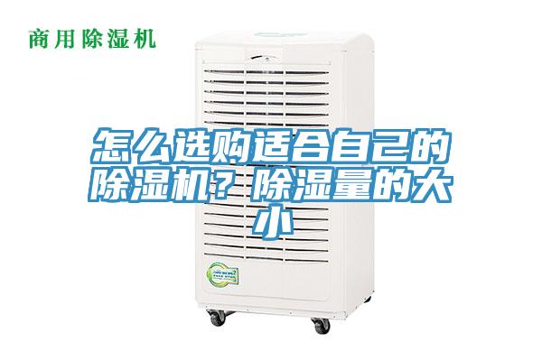 怎么選購適合自己的除濕機(jī)？除濕量的大小