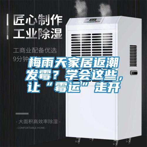 梅雨天家居返潮發(fā)霉？學會這些，讓“霉運”走開