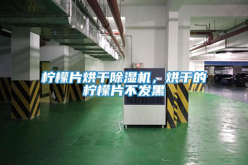 檸檬片烘干除濕機，烘干的檸檬片不發(fā)黑