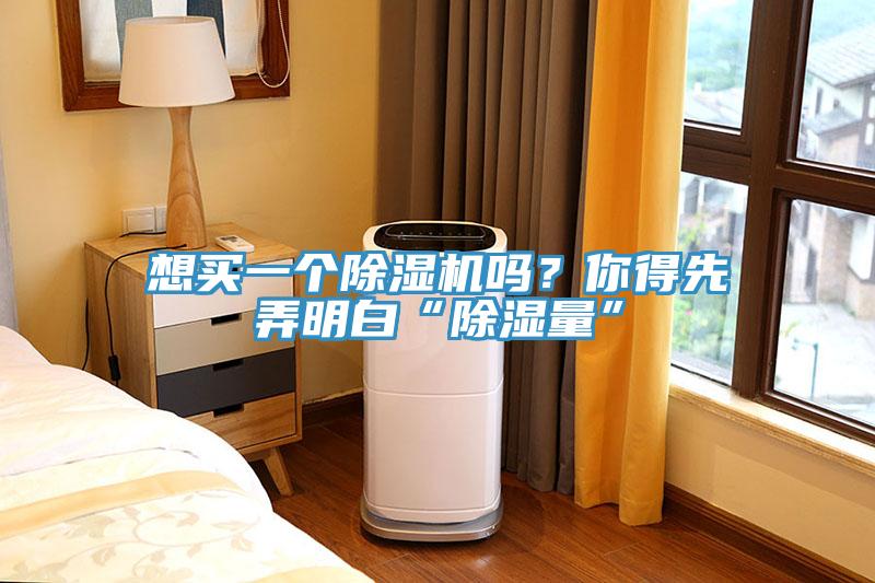 想買一個除濕機(jī)嗎？你得先弄明白“除濕量”