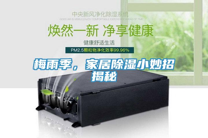 梅雨季，家居除濕小妙招揭秘