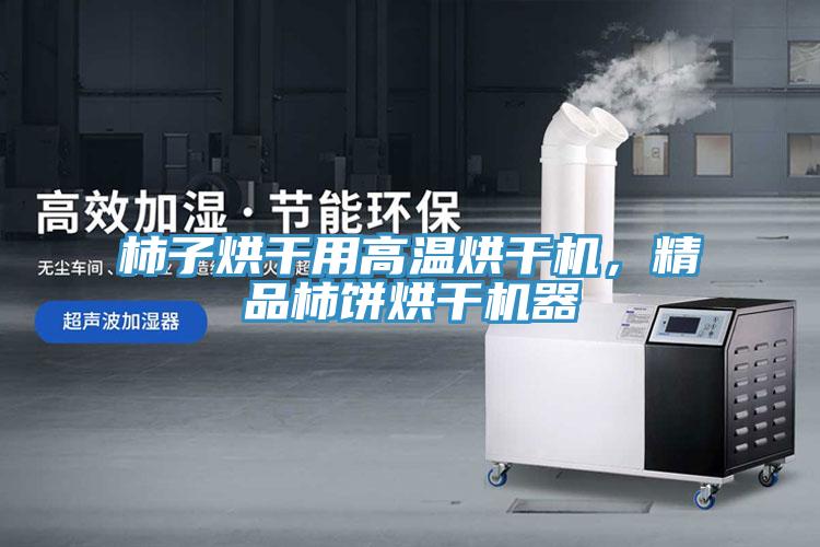 柿子烘干用高溫烘干機(jī)，精品柿餅烘干機(jī)器