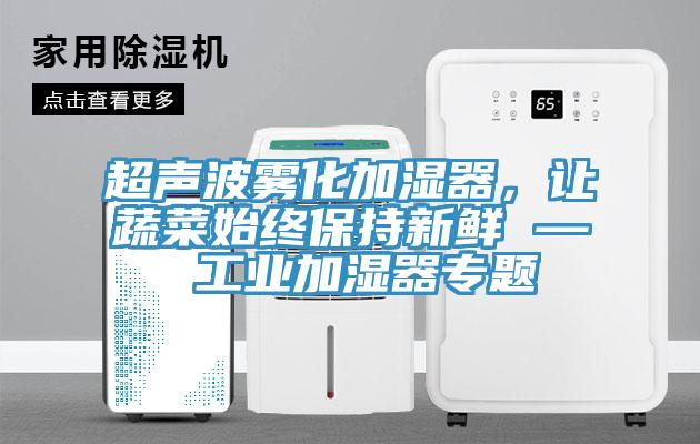超聲波霧化加濕器，讓蔬菜始終保持新鮮 — 工業(yè)加濕器專題