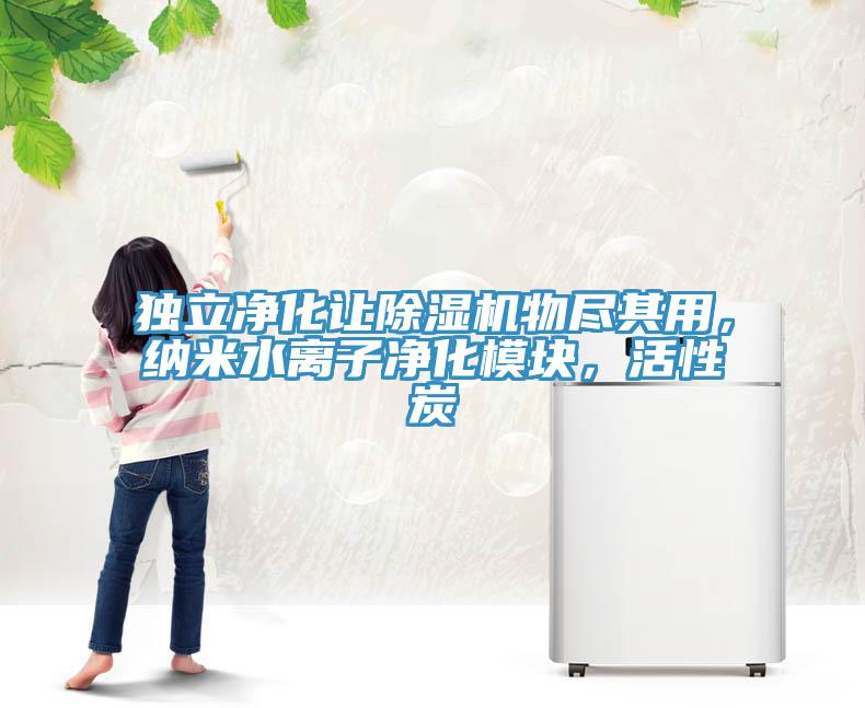 獨(dú)立凈化讓除濕機(jī)物盡其用，納米水離子凈化模塊，活性炭