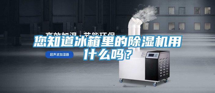您知道冰箱里的除濕機(jī)用什么嗎？
