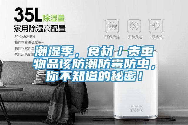 潮濕季，食材／貴重物品該防潮防霉防蟲，你不知道的秘密！