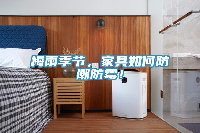 梅雨季節(jié)，家具如何防潮防霉！