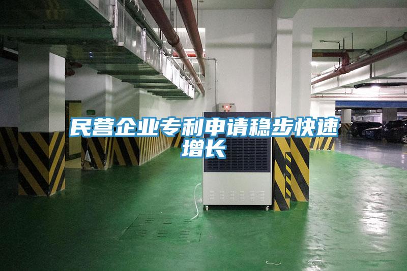 民營企業(yè)專利申請(qǐng)穩(wěn)步快速增長