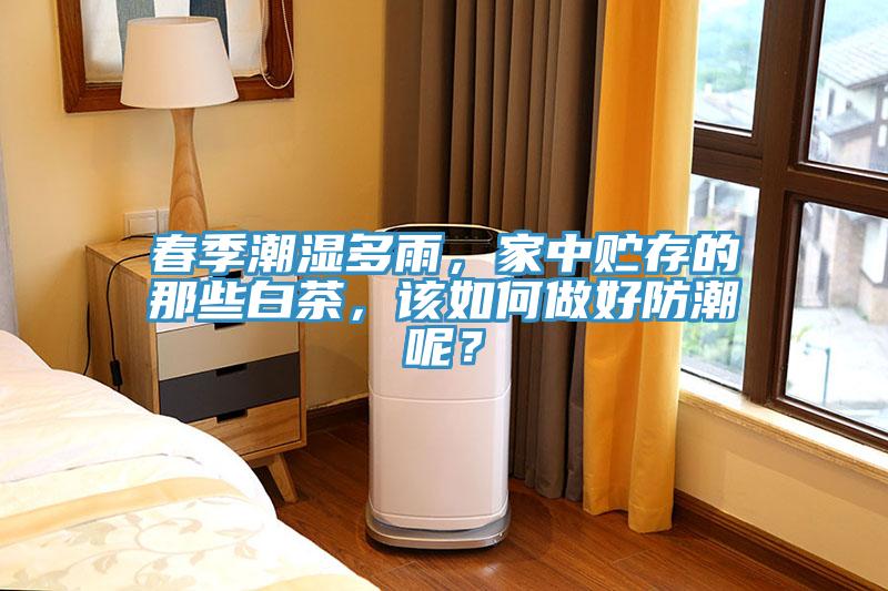 春季潮濕多雨，家中貯存的那些白茶，該如何做好防潮呢？