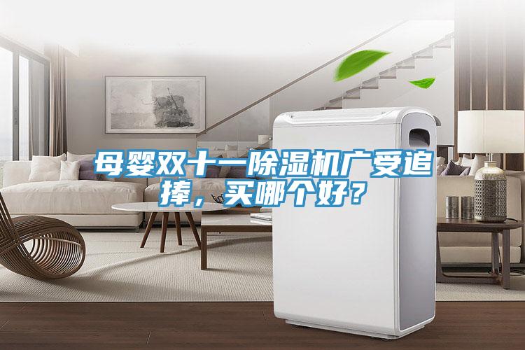 母嬰雙十一除濕機廣受追捧，買哪個好？