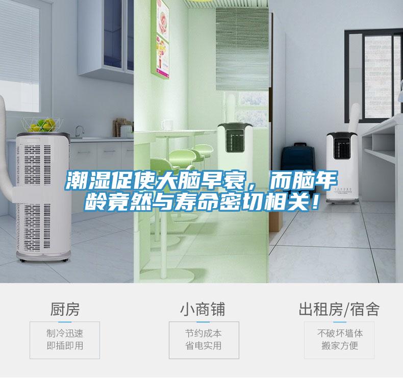 潮濕促使大腦早衰，而腦年齡竟然與壽命密切相關(guān)！