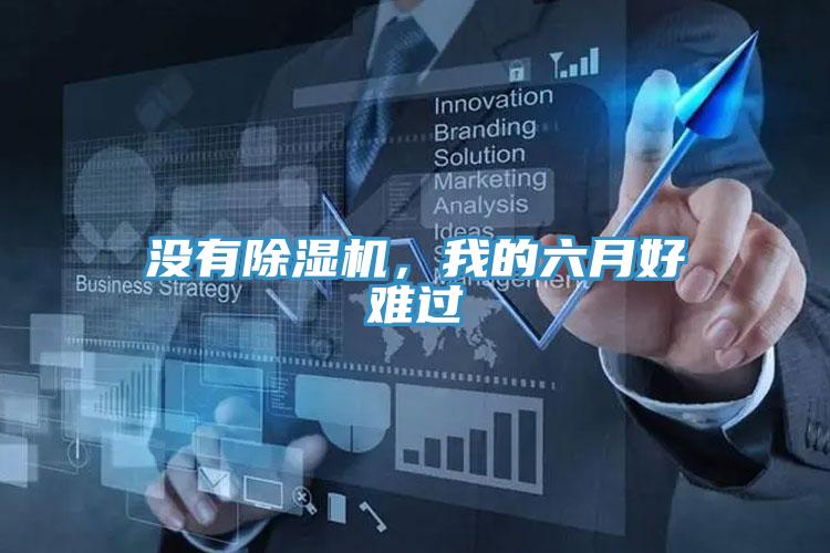 沒有除濕機(jī)，我的六月好難過