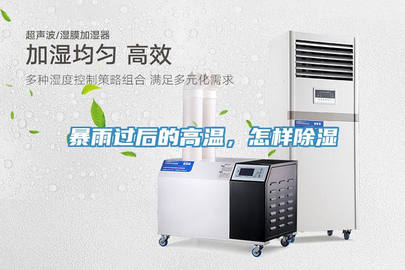 暴雨過后的高溫，怎樣除濕