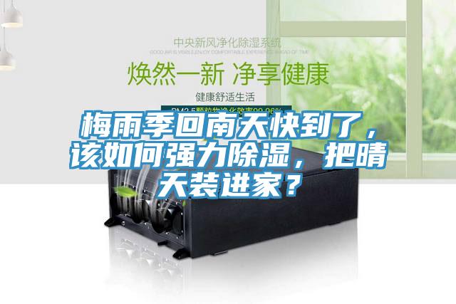 梅雨季回南天快到了，該如何強(qiáng)力除濕，把晴天裝進(jìn)家？