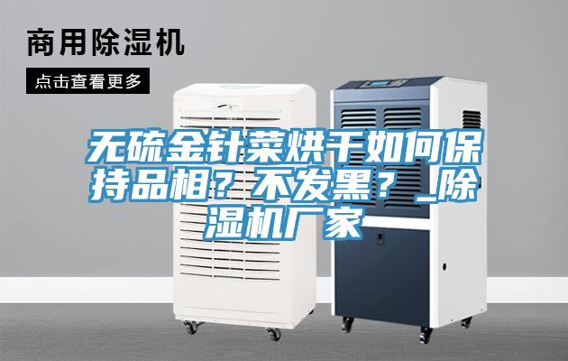 無硫金針菜烘干如何保持品相？不發(fā)黑？_除濕機廠家