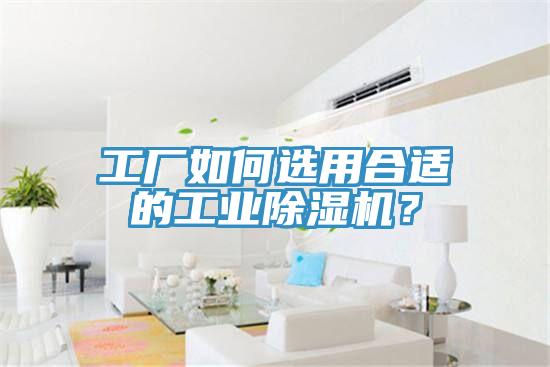 工廠如何選用合適的工業(yè)除濕機(jī)？