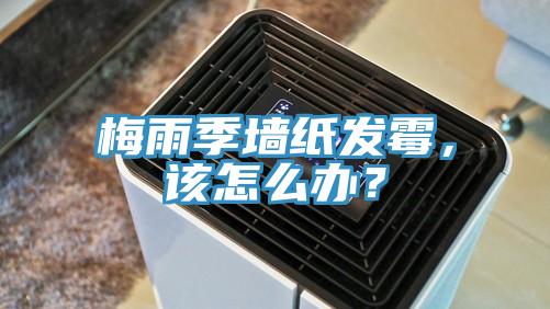 梅雨季墻紙發(fā)霉，該怎么辦？