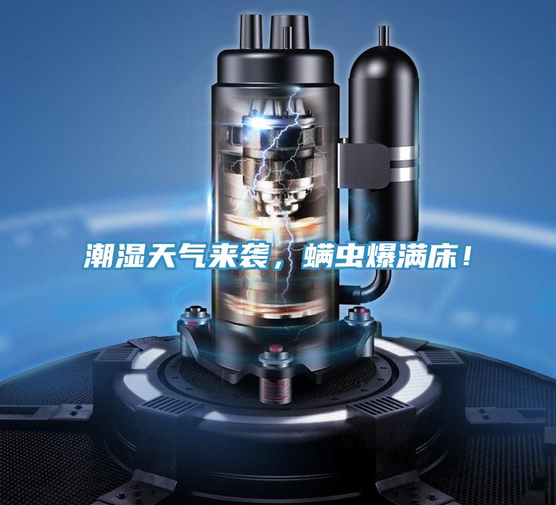 潮濕天氣來襲，螨蟲爆滿床！