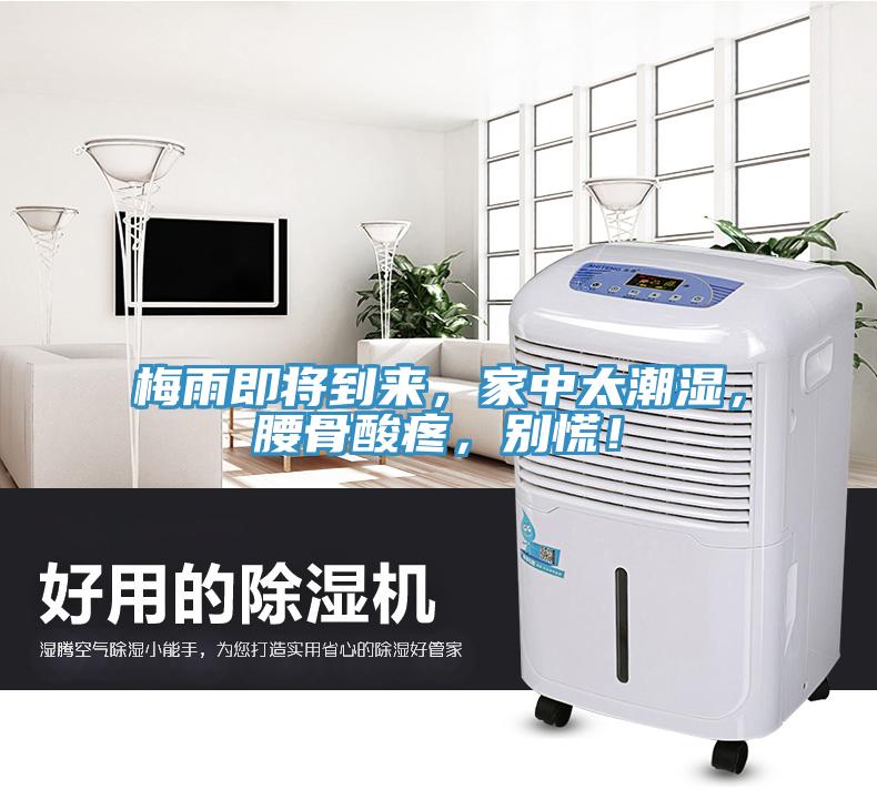 梅雨即將到來，家中太潮濕，腰骨酸疼，別慌！