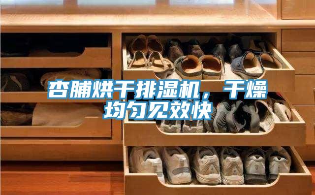 杏脯烘干排濕機(jī)，干燥均勻見效快