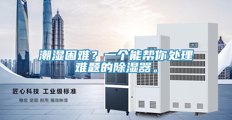 潮濕困難？一個(gè)能幫你處理難題的除濕器。