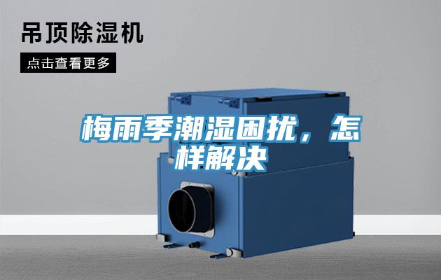 梅雨季潮濕困擾，怎樣解決