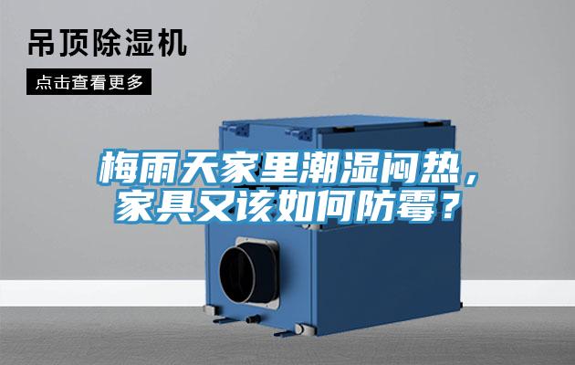 梅雨天家里潮濕悶熱，家具又該如何防霉？