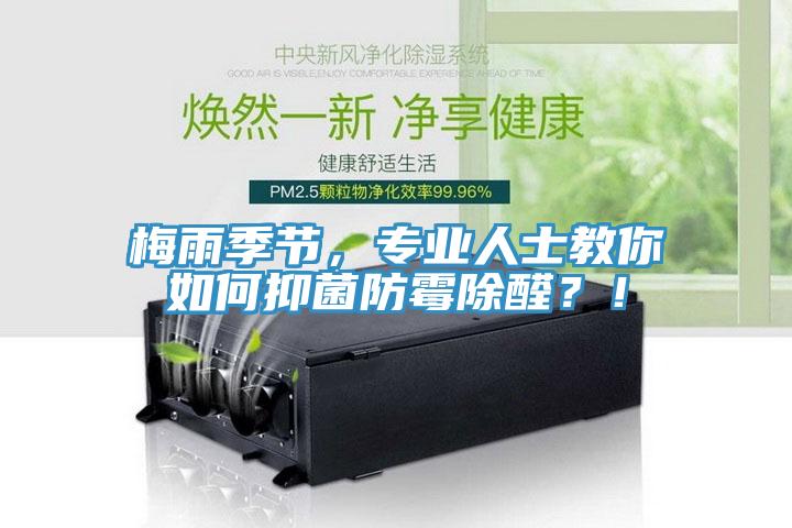 梅雨季節(jié)，專業(yè)人士教你如何抑菌防霉除醛？！
