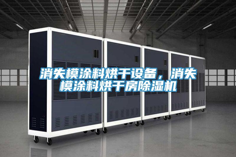 消失模涂料烘干設(shè)備，消失模涂料烘干房除濕機(jī)