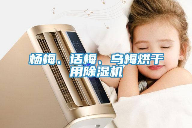 楊梅、話梅、烏梅烘干用除濕機(jī)