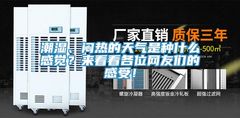 潮濕、悶熱的天氣是種什么感覺？來看看各位網(wǎng)友們的感受！
