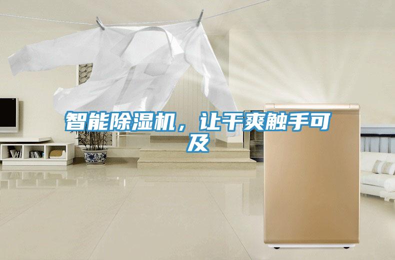 智能除濕機，讓干爽觸手可及