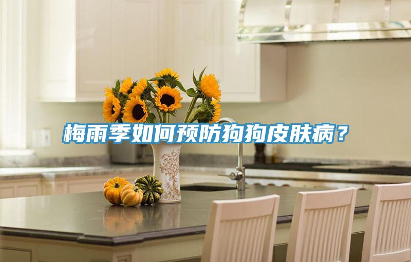 梅雨季如何預(yù)防狗狗皮膚??？