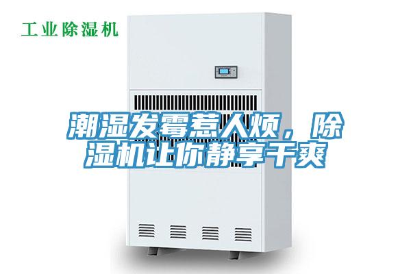 潮濕發(fā)霉惹人煩，除濕機讓你靜享干爽