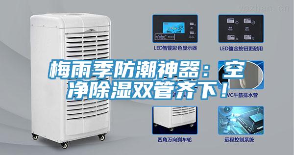 梅雨季防潮神器：空凈除濕雙管齊下！
