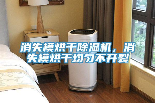 消失模烘干除濕機(jī)，消失模烘干均勻不開裂