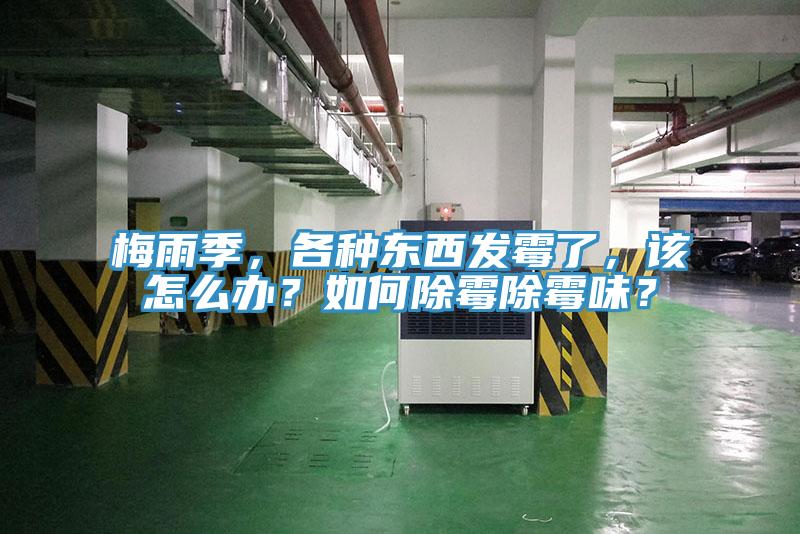 梅雨季，各種東西發(fā)霉了，該怎么辦？如何除霉除霉味？