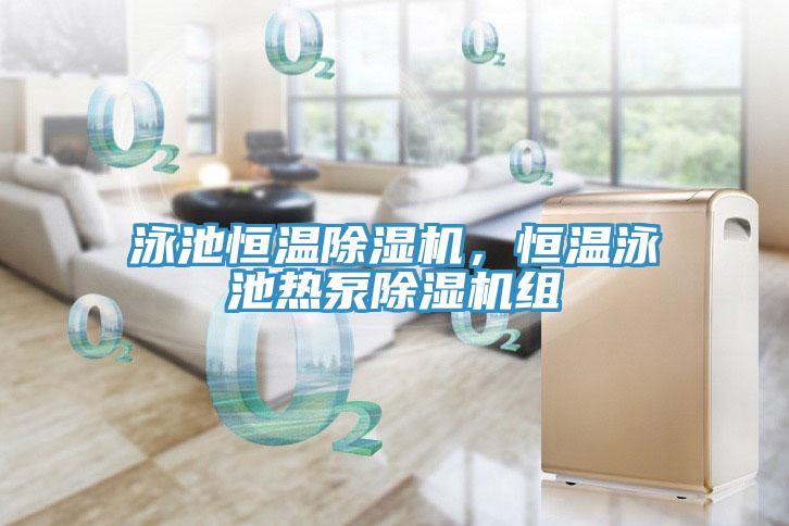 泳池恒溫除濕機，恒溫泳池?zé)岜贸凉駲C組