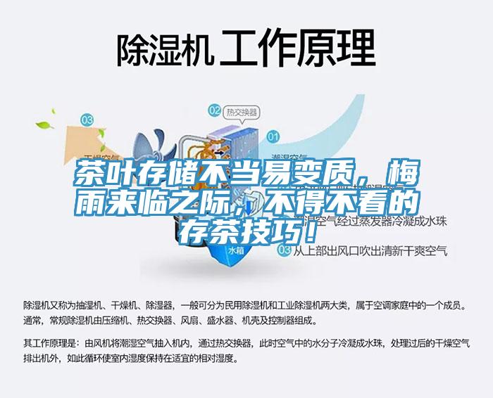 茶葉存儲不當(dāng)易變質(zhì)，梅雨來臨之際，不得不看的存茶技巧！
