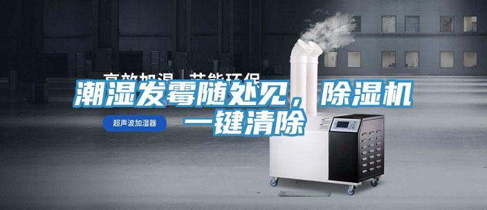 潮濕發(fā)霉隨處見，除濕機一鍵清除