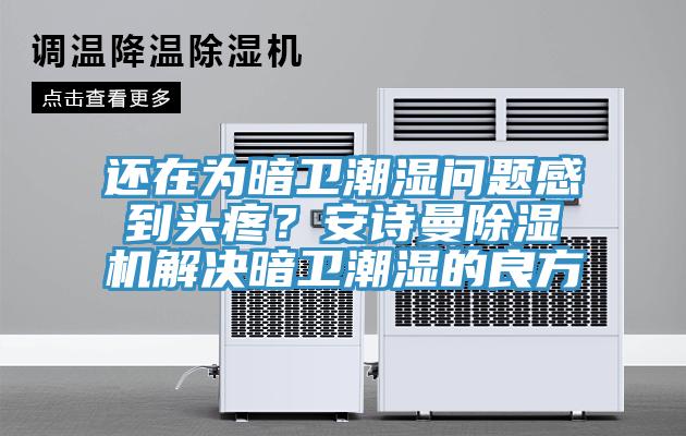 還在為暗衛(wèi)潮濕問題感到頭疼？安詩曼除濕機(jī)解決暗衛(wèi)潮濕的良方